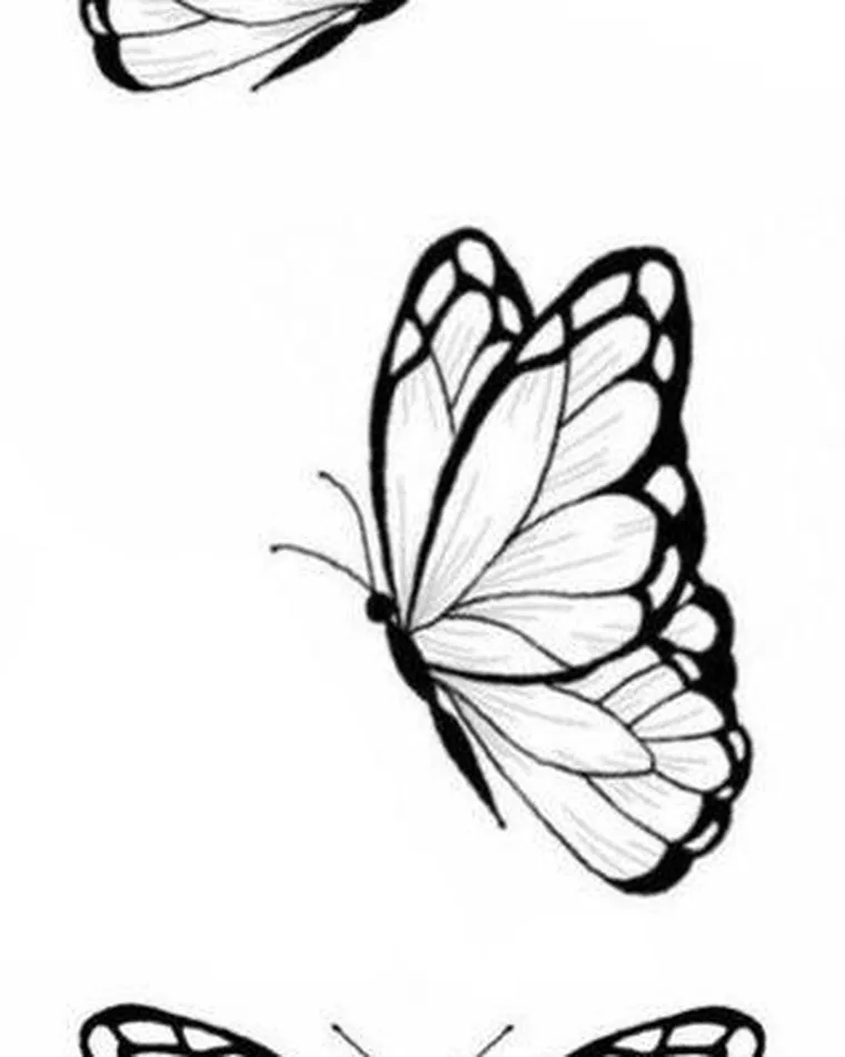 Butterflies, Vorlage